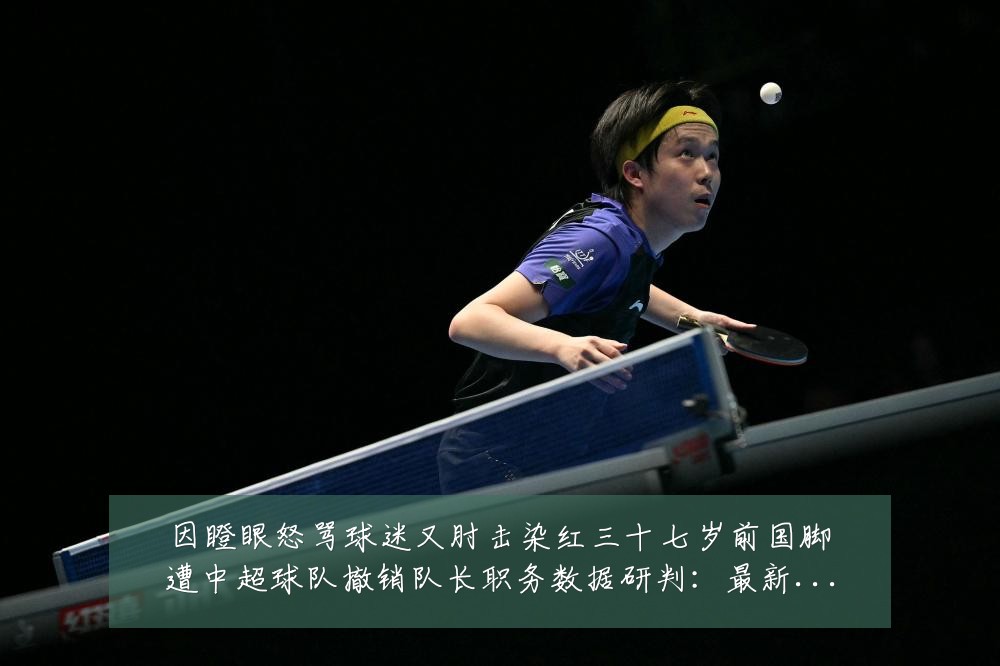 因瞪眼怒骂球迷又肘击染红三十七岁前国脚遭中超球队撤销队长职务数据研判:最新赛事动态与深度分析